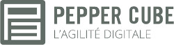 Agence web Pepper Cube